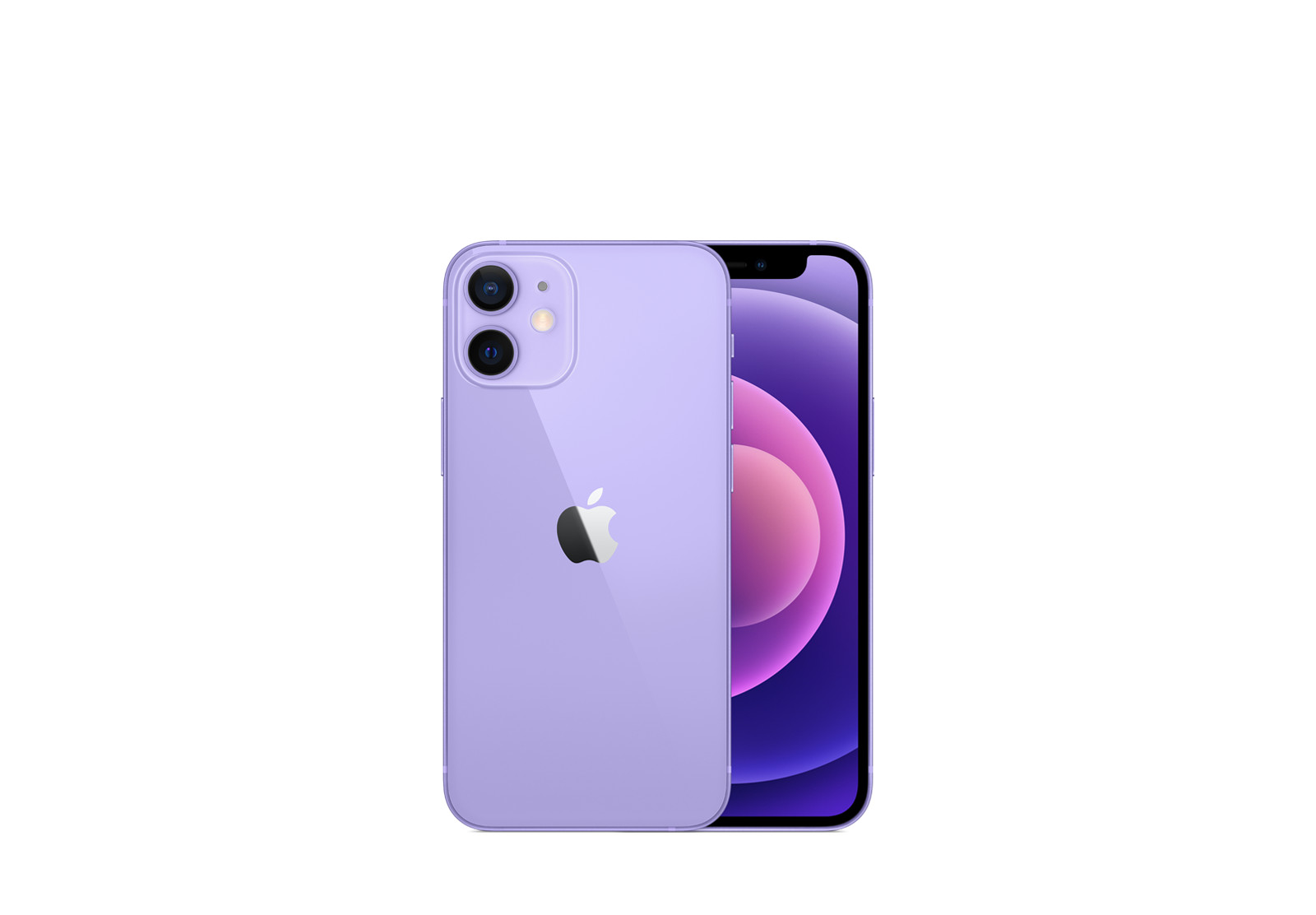 iPhone 12 mini in Purple, front and back